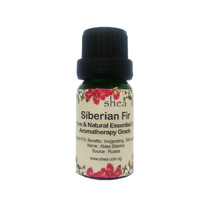 Siberian Fir Pure Essential Oil 10ml (PEO) - Image 2